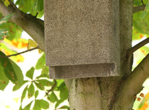 Fledermaus-Flachkasten nach Dr. Nagel