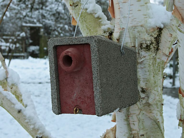 Mardersicherer Höhlenbrüterkasten Naturschutzbedarf Strobel